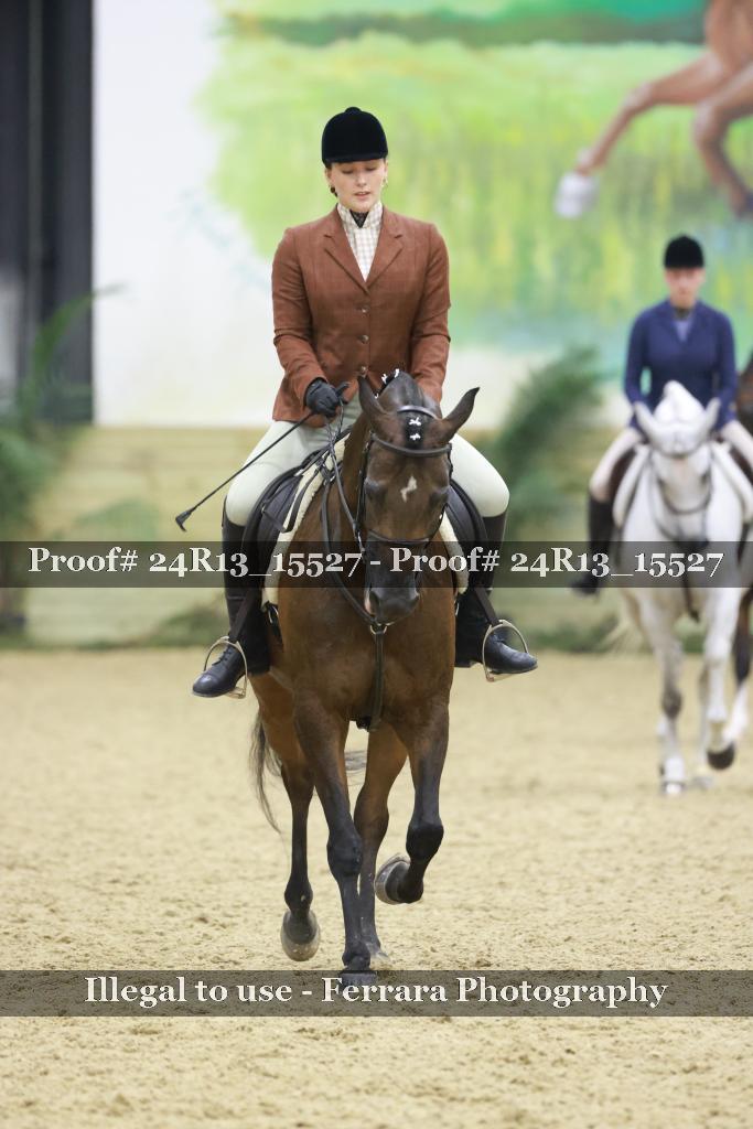 Proof 24R13_15527