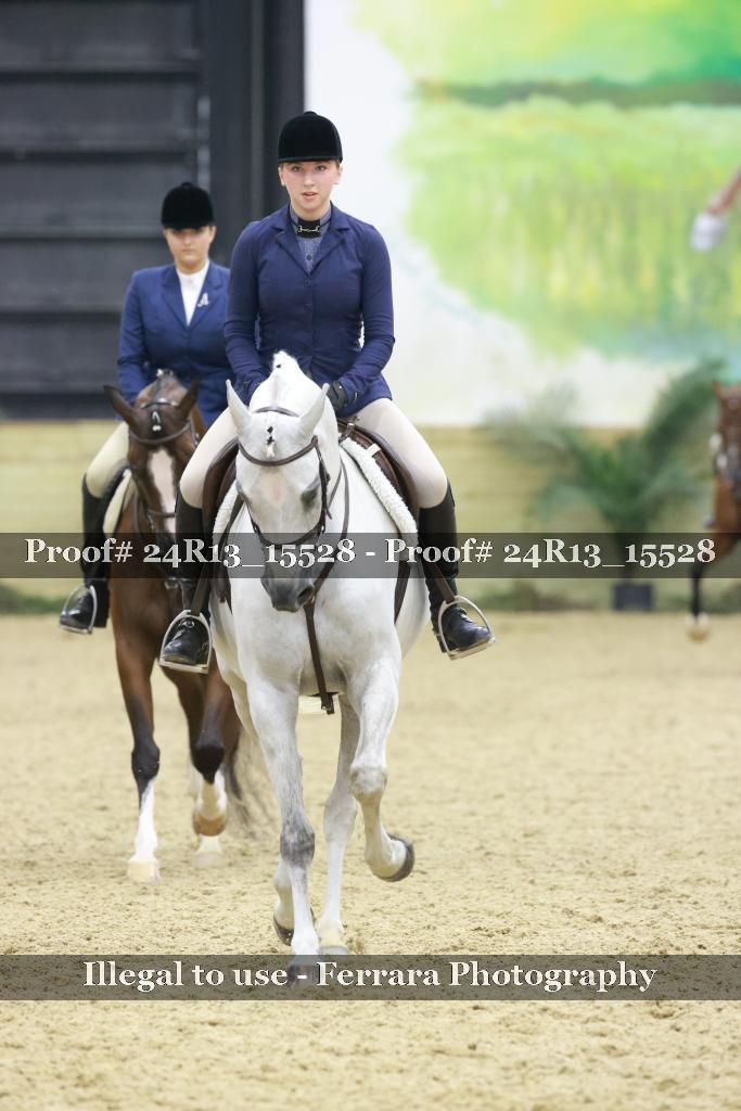 Proof 24R13_15528