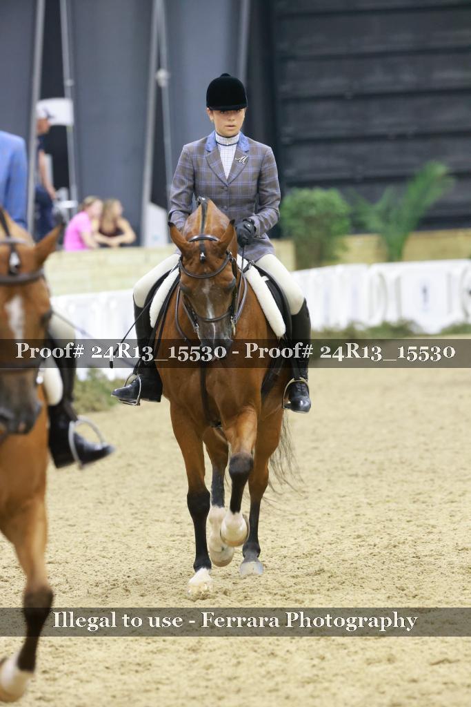 Proof 24R13_15530