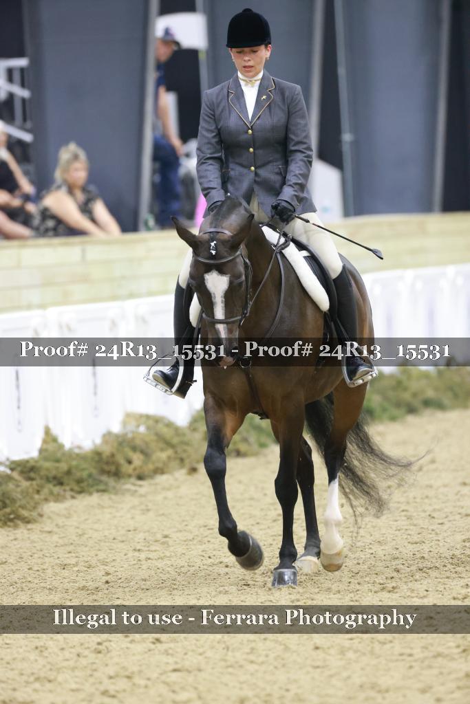 Proof 24R13_15531