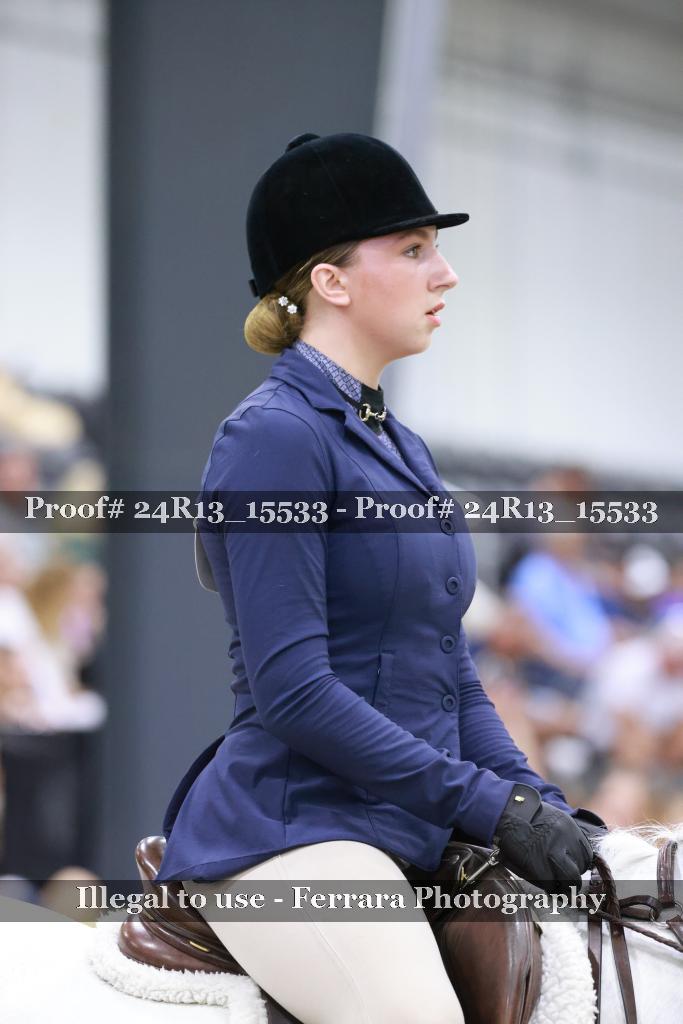 Proof 24R13_15533