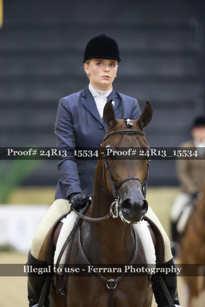 Proof 24R13_15534