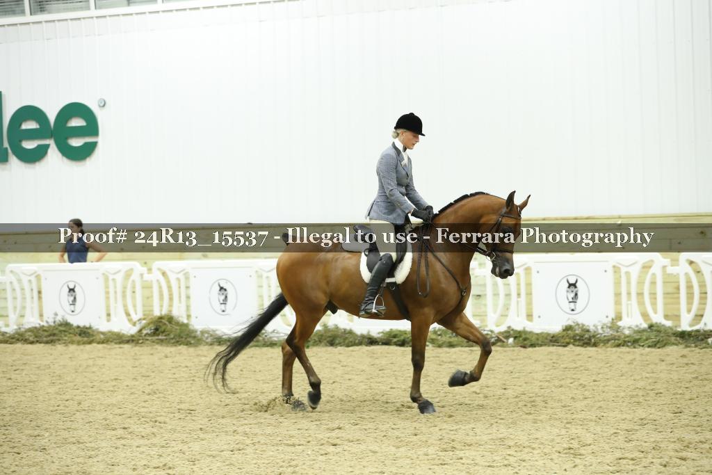 Proof 24R13_15537