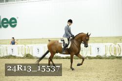 24R13_15537 proof