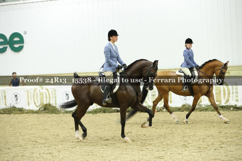Proof 24R13_15538