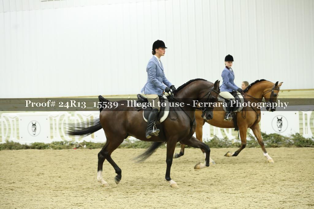Proof 24R13_15539