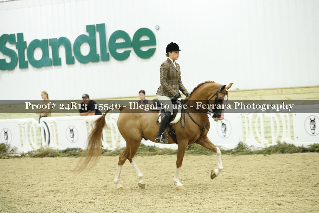 Proof 24R13_15540
