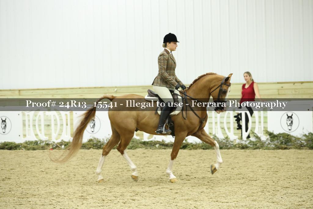 Proof 24R13_15541