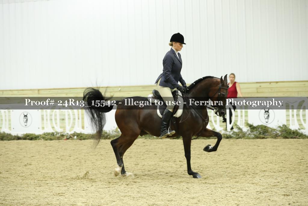 Proof 24R13_15542