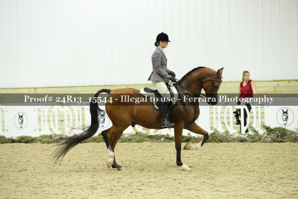 Proof 24R13_15544