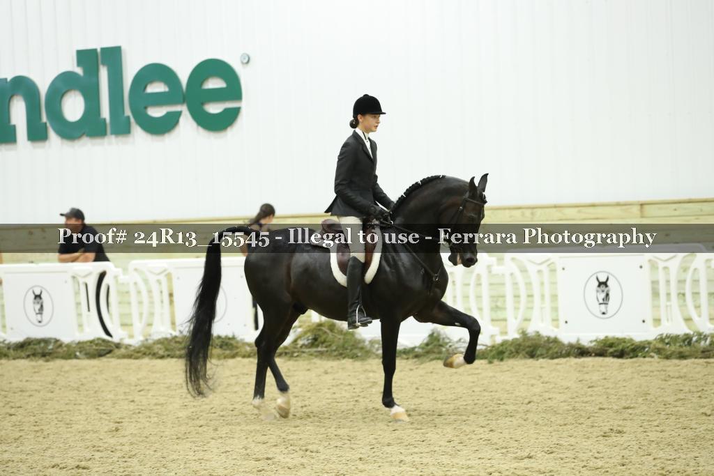 Proof 24R13_15545