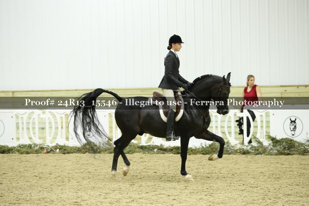 Proof 24R13_15546