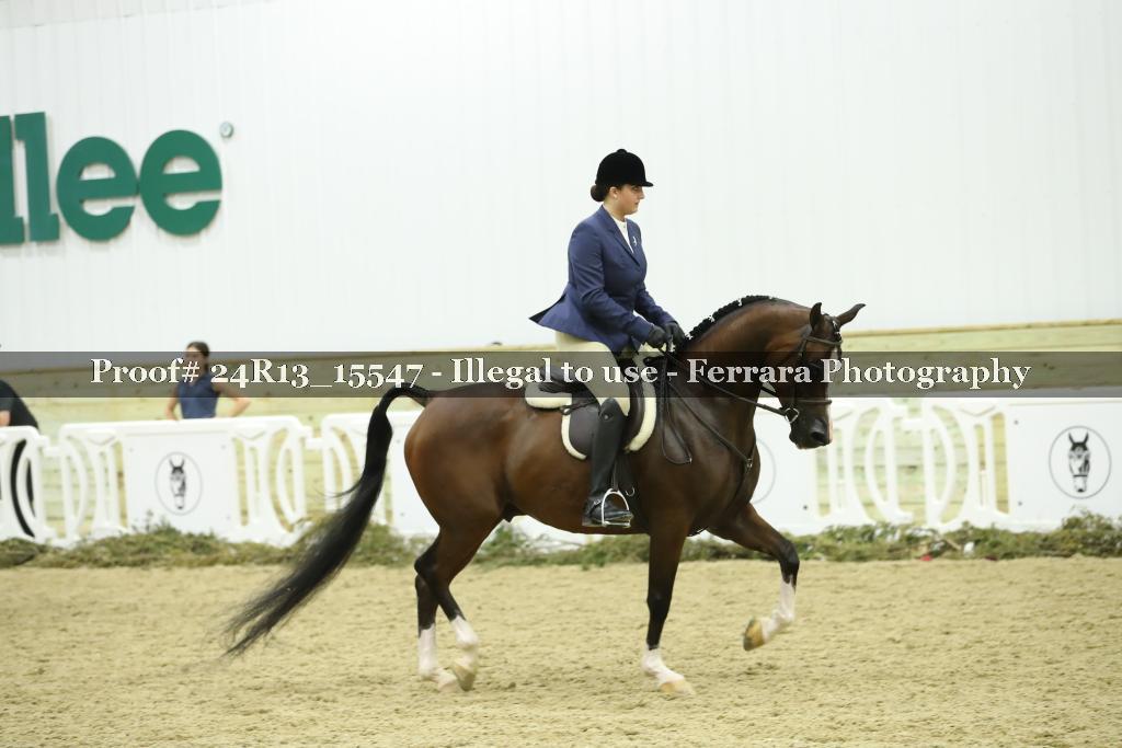 Proof 24R13_15547