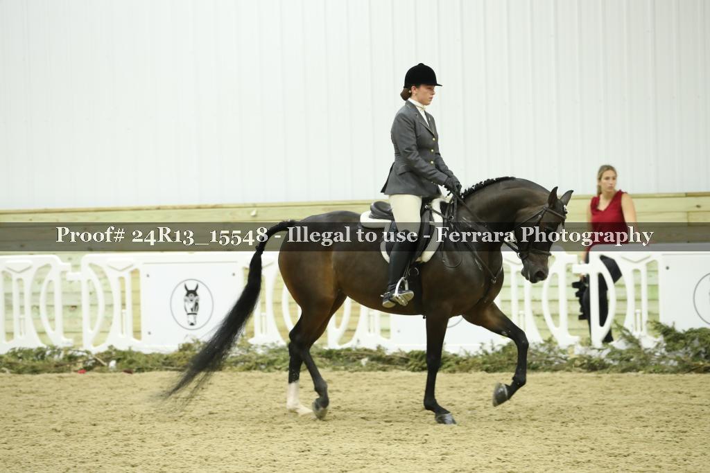 Proof 24R13_15548