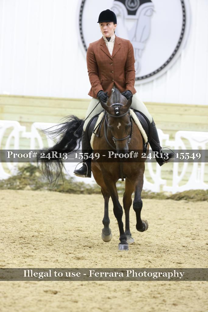 Proof 24R13_15549