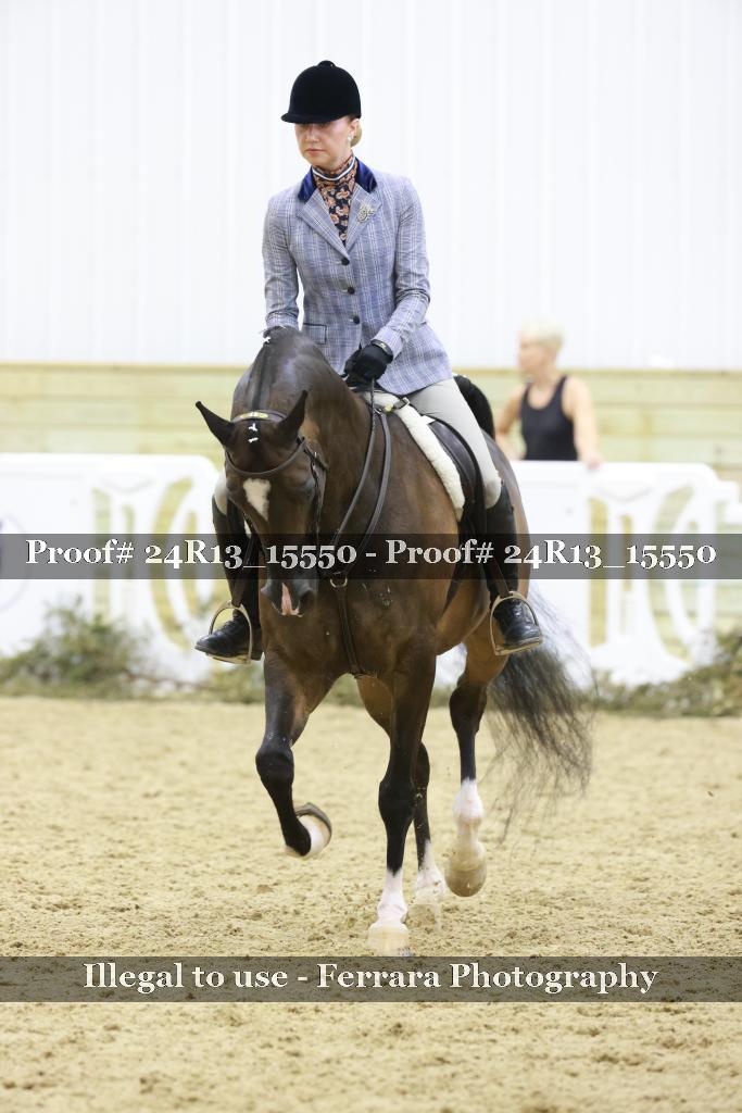 Proof 24R13_15550