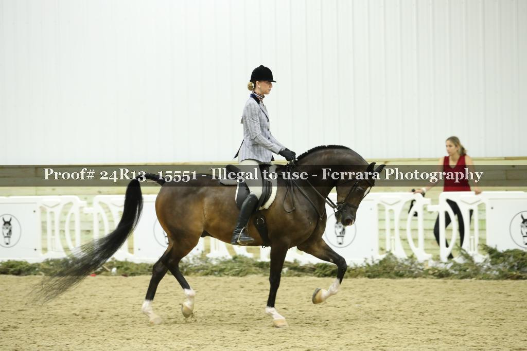 Proof 24R13_15551