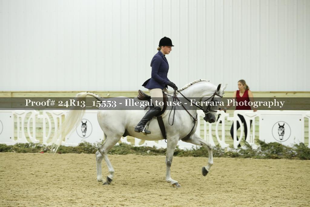 Proof 24R13_15553