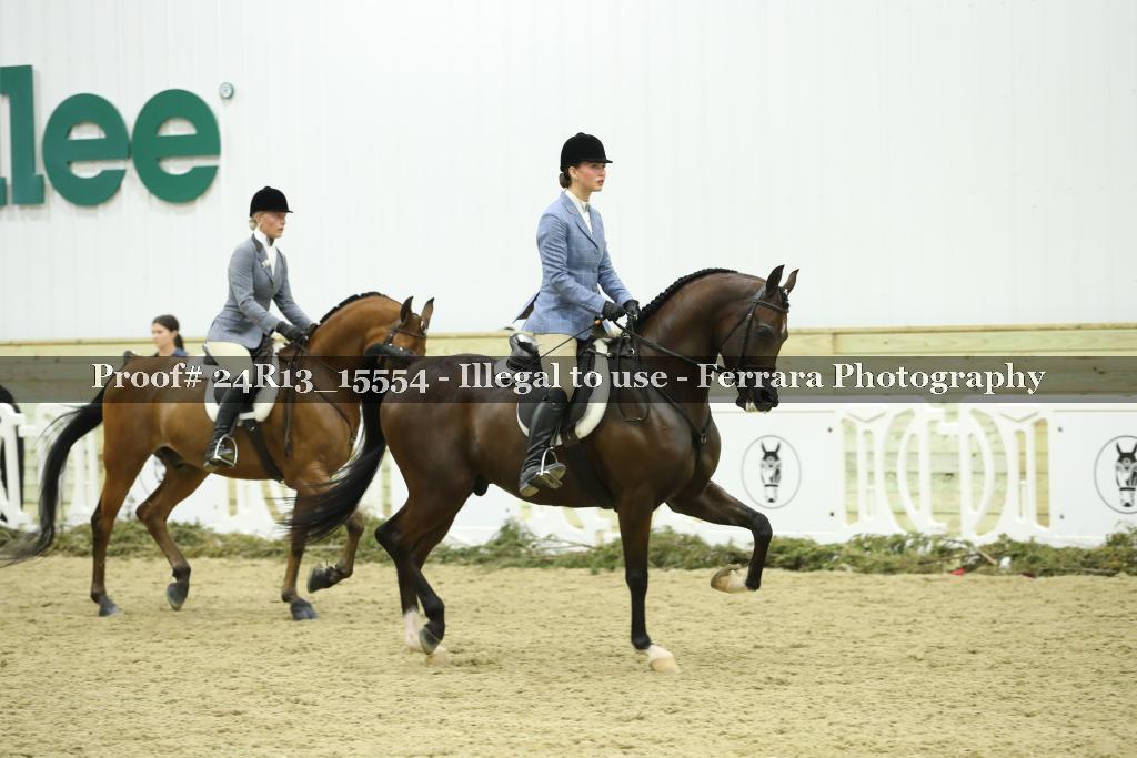 Proof 24R13_15554