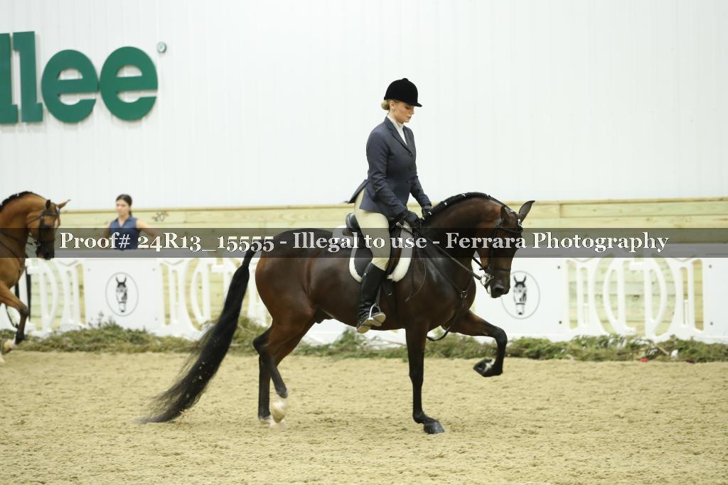 Proof 24R13_15555