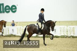 24R13_15555 proof