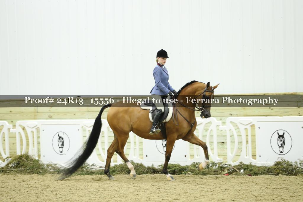 Proof 24R13_15556