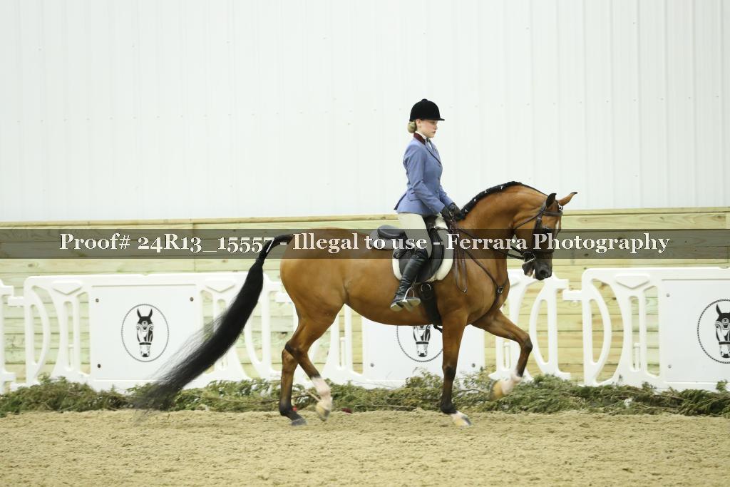 Proof 24R13_15557