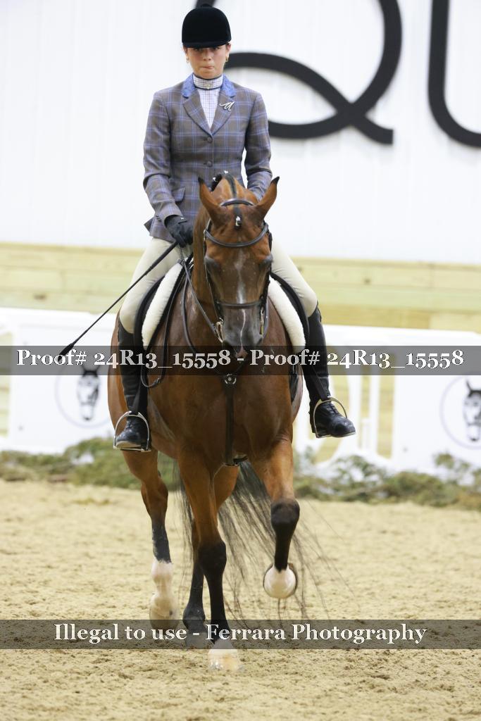 Proof 24R13_15558