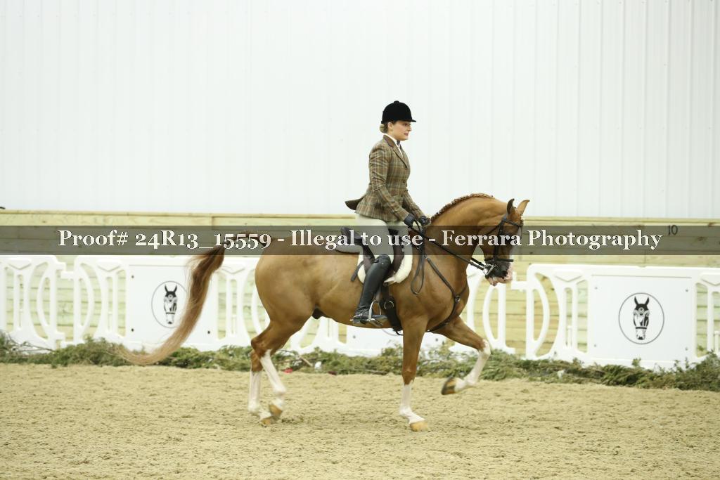 Proof 24R13_15559