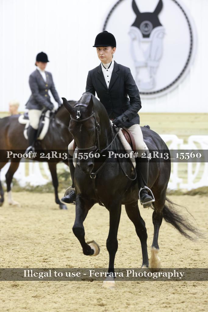 Proof 24R13_15560