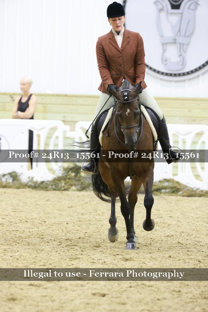 Proof 24R13_15561