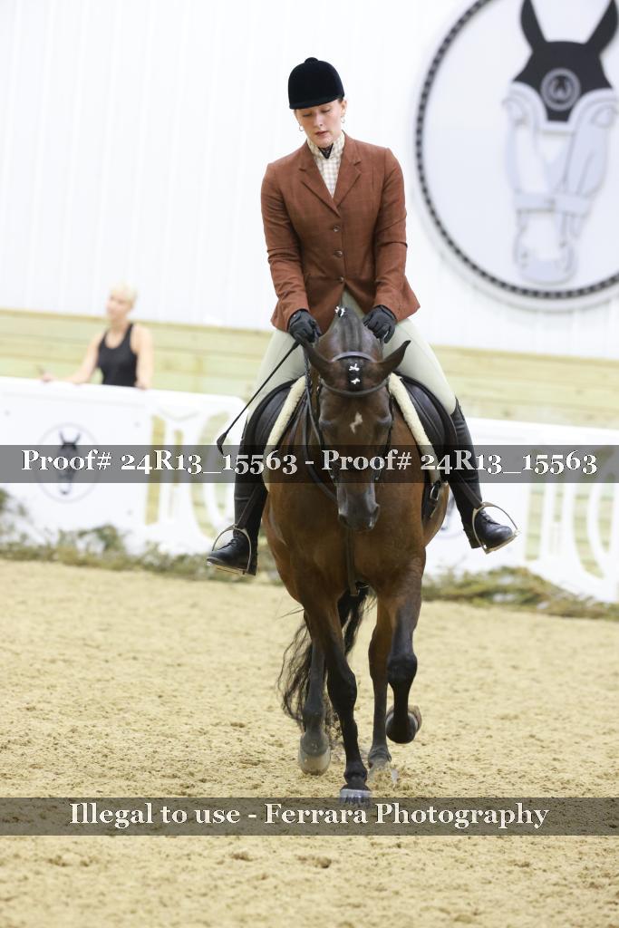 Proof 24R13_15563