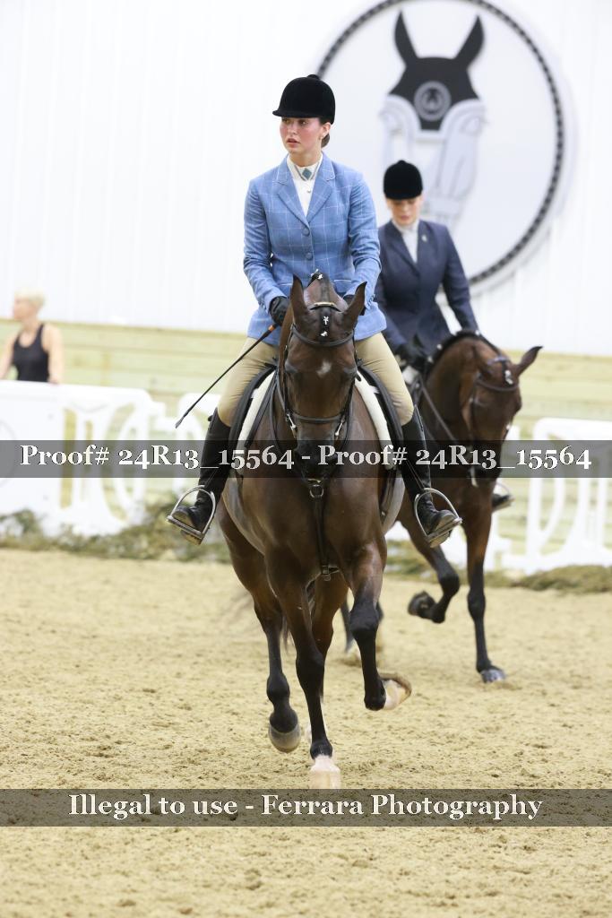 Proof 24R13_15564