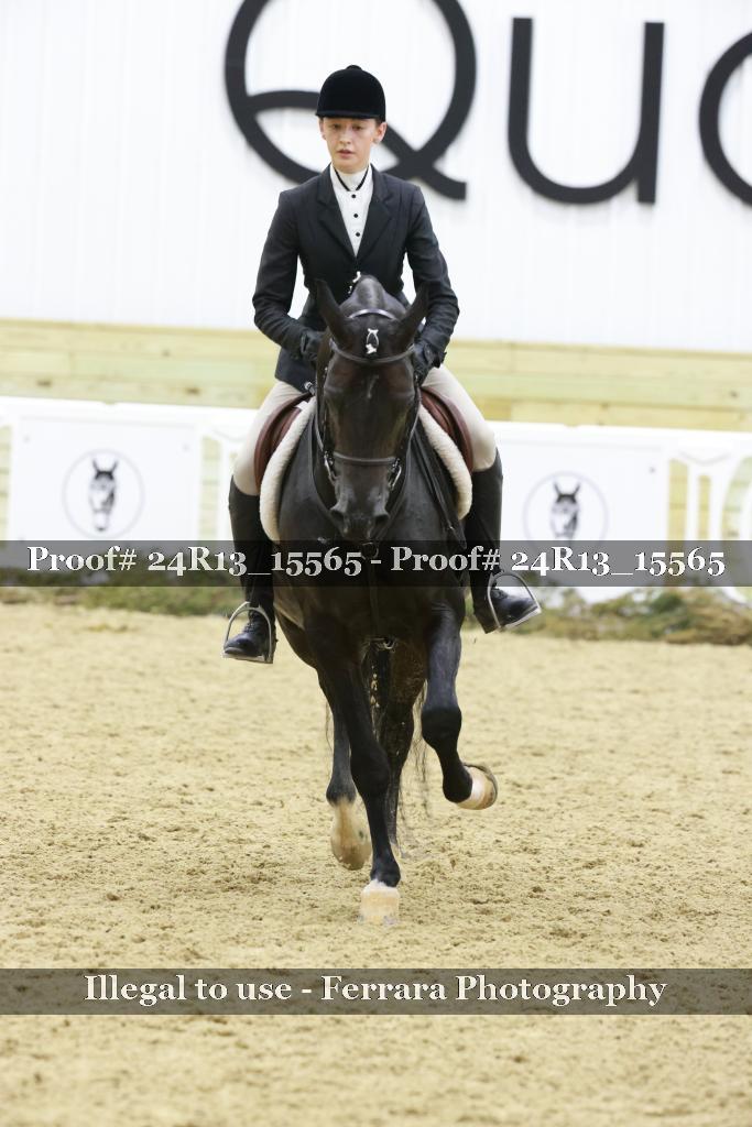 Proof 24R13_15565