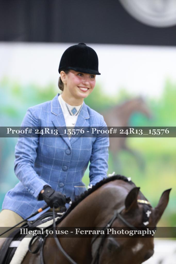 Proof 24R13_15576