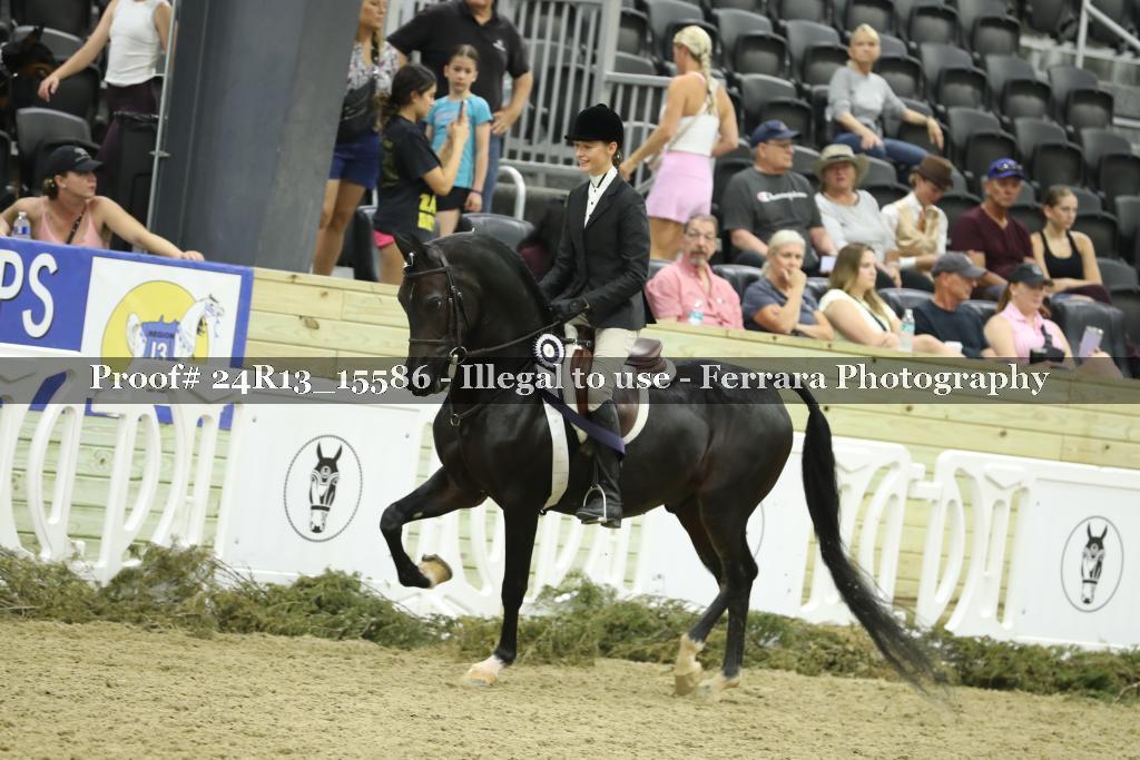 Proof 24R13_15586