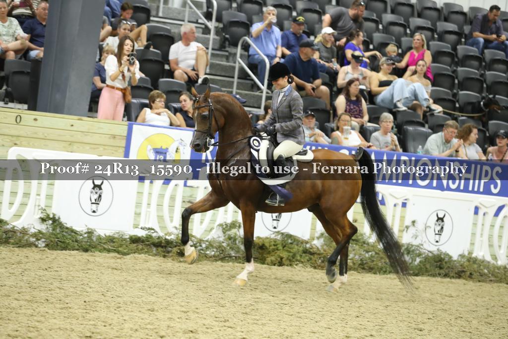 Proof 24R13_15590