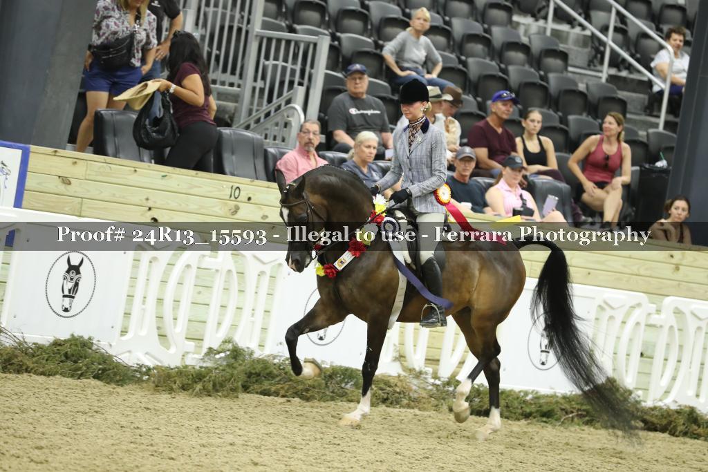 Proof 24R13_15593