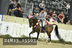 24R13_15593 proof