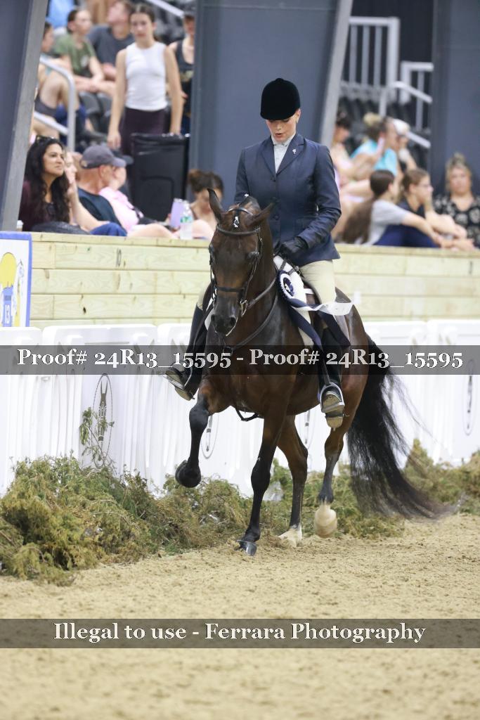 Proof 24R13_15595