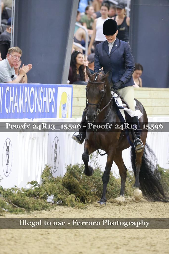Proof 24R13_15596