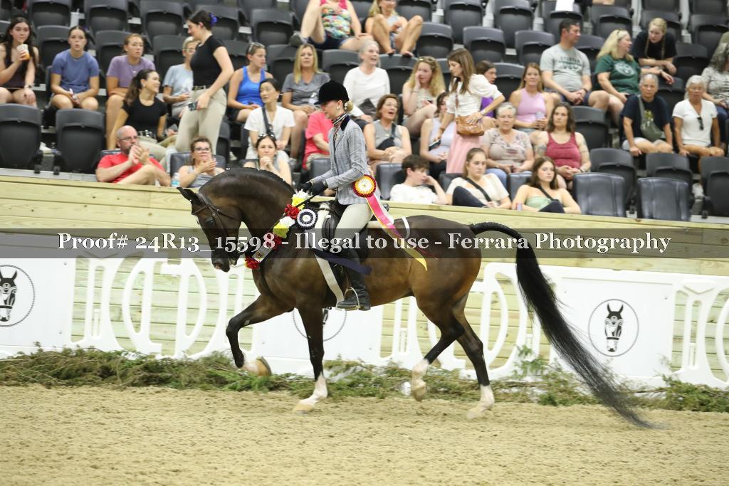 Proof 24R13_15598