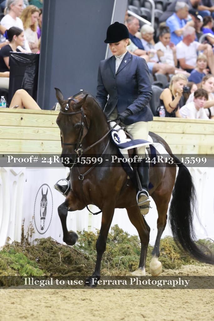 Proof 24R13_15599