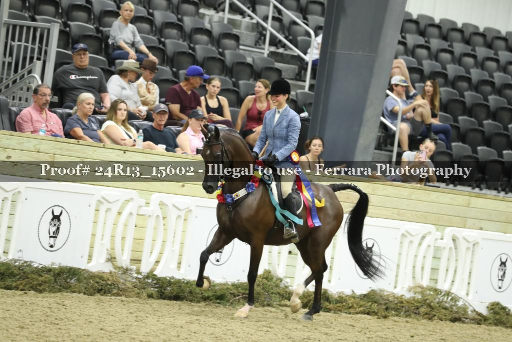Proof 24R13_15602