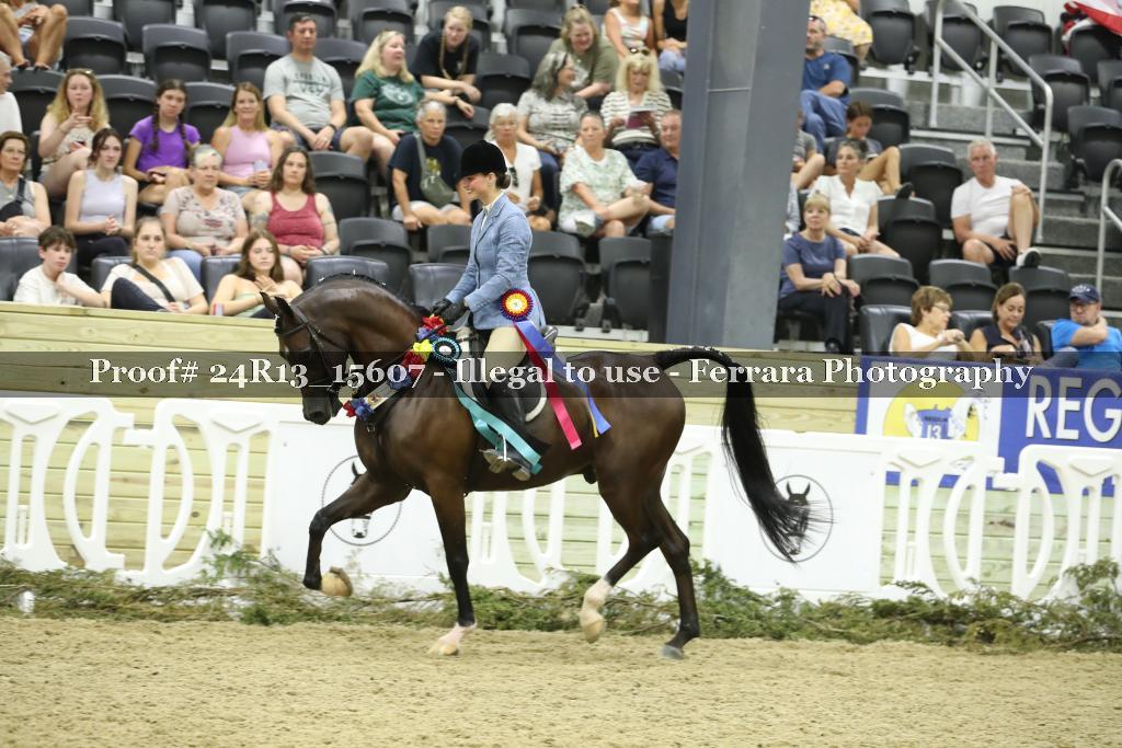Proof 24R13_15607