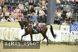 24R13_15607 proof