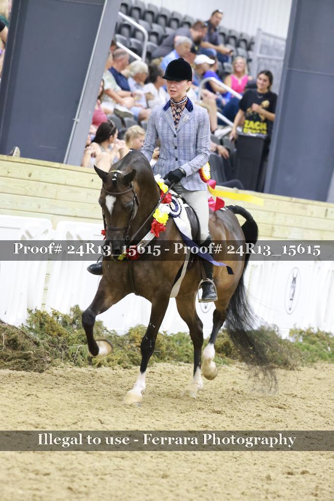 Proof 24R13_15615
