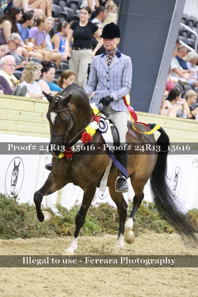 Proof 24R13_15616