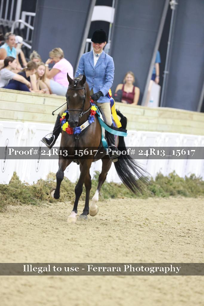 Proof 24R13_15617