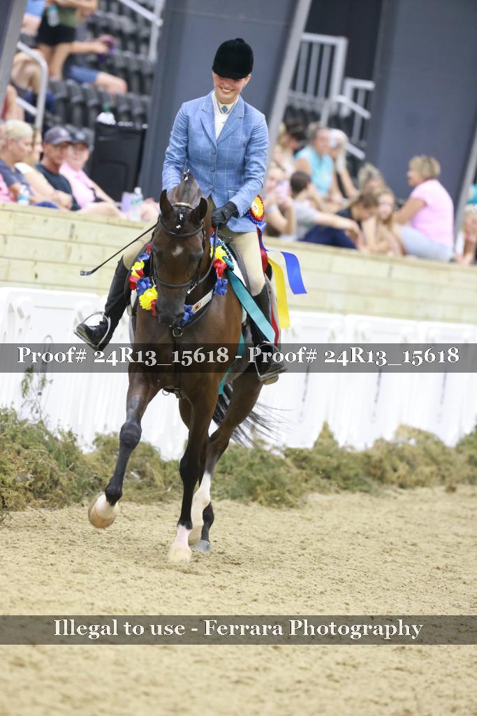 Proof 24R13_15618